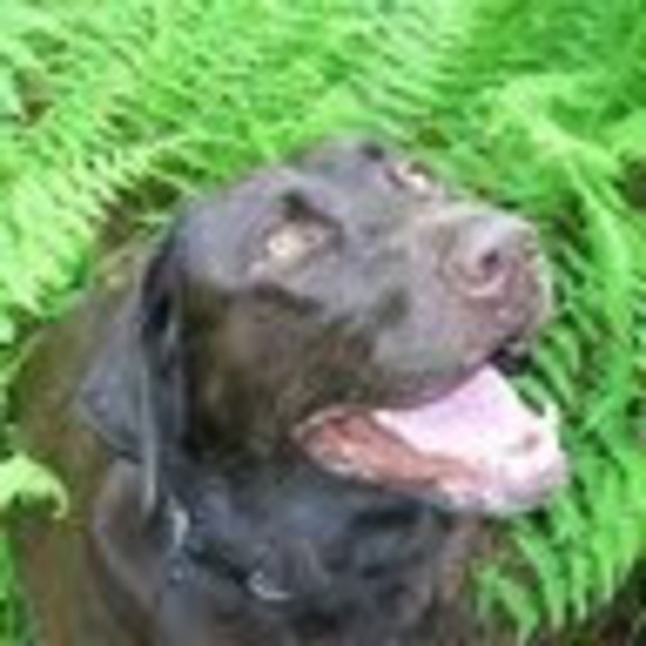 Meet your Posher, Marilyn - Picture 1 of 1